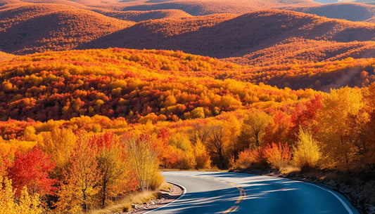 Winding mountain road in Appalachian Mountains for a fall leaf peeping adventure.