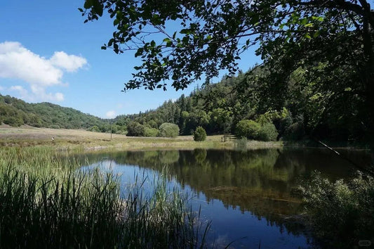 Tranquil lake for water activities and hiking trails near Southern California campsites.