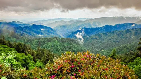 Conquering the Appalachian Trail: An Unforgettable Journey Through America’s Eastern Wilderness