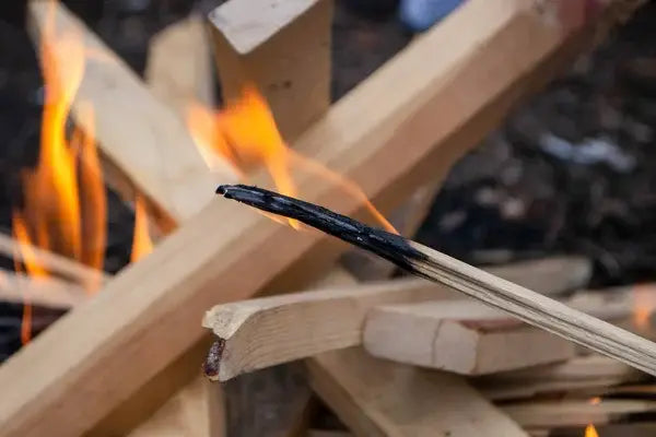 Ignite Your Backyard with Safe and Eco-Friendly Bonfire Practices