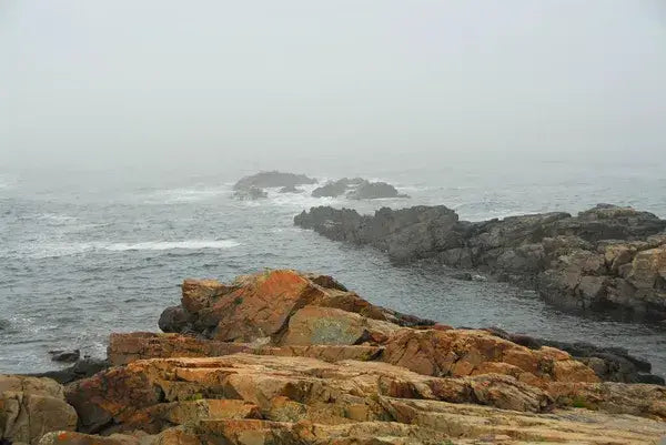 Uncovering the Hidden Gems of Acadia National Park: Coastal Adventures in Maine